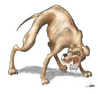 rabies for dogs near me aid rabies for dogs near me aid