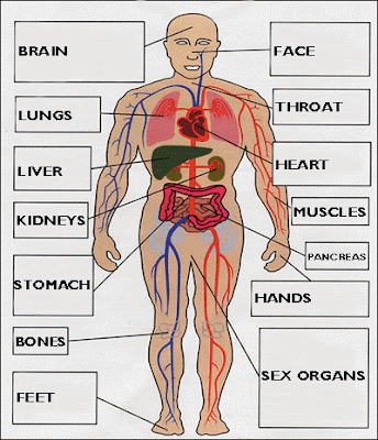 Parts of the body II - English Subject Area