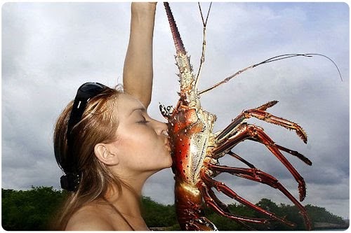 BANCO DE IMÁGENES GRATIS: Las fotografías más recientes de JPG (+1000