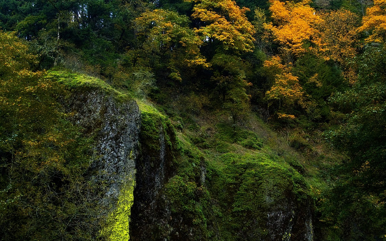 Lugares del mundo y sus paisajes mas bellos Facebook - Imagenes De De Paisajes