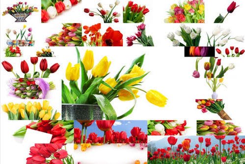 Imágenes de flores para el Día de las Madres (33 elementos)