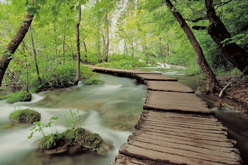 imagenes de paisajes naturales con movimiento