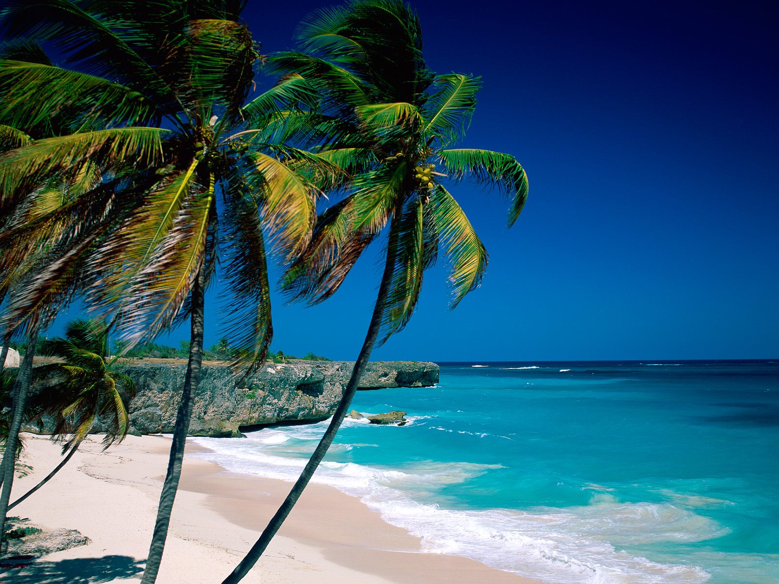 BARBADOS TOURISM STATISTIC barbados tourism statistic: