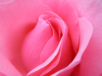 ></a><br><a href=