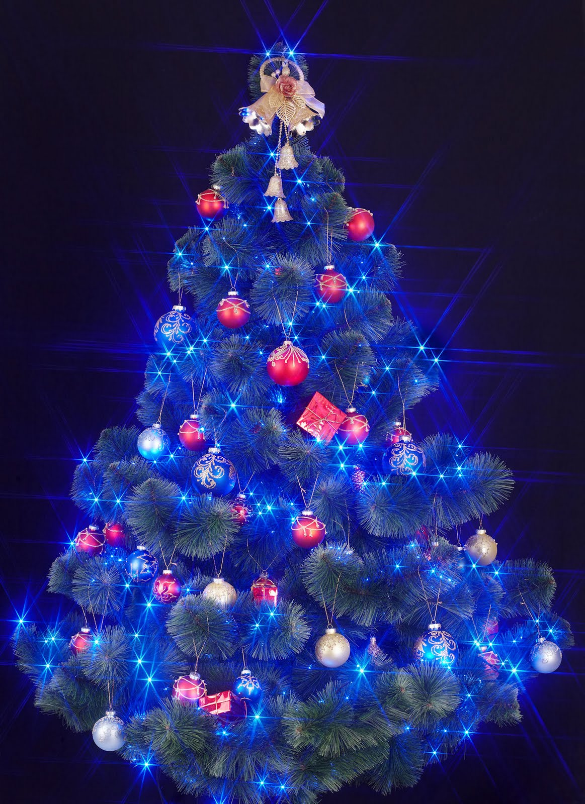 Especial de Fin de Año (Fotos de Árboles de Navidad) | Banco de ... Especial de Fin de Año (Fotos de Árboles de Navidad) | Banco de ...