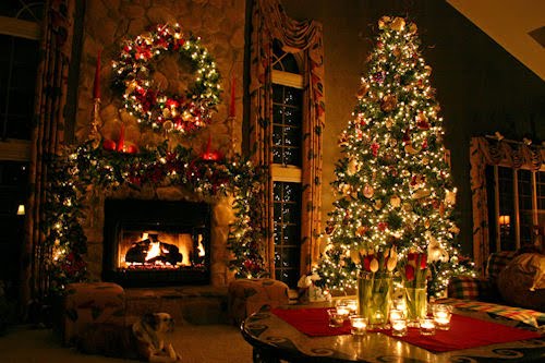 Especial de Fin de Año (Fotos de Árboles de Navidad)