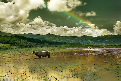 Imágenes Fantásticas|Fantasy and Amazing Scenary