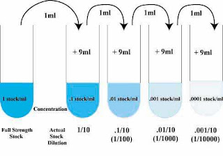 dilution process
