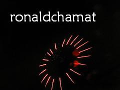 ronaldchamat