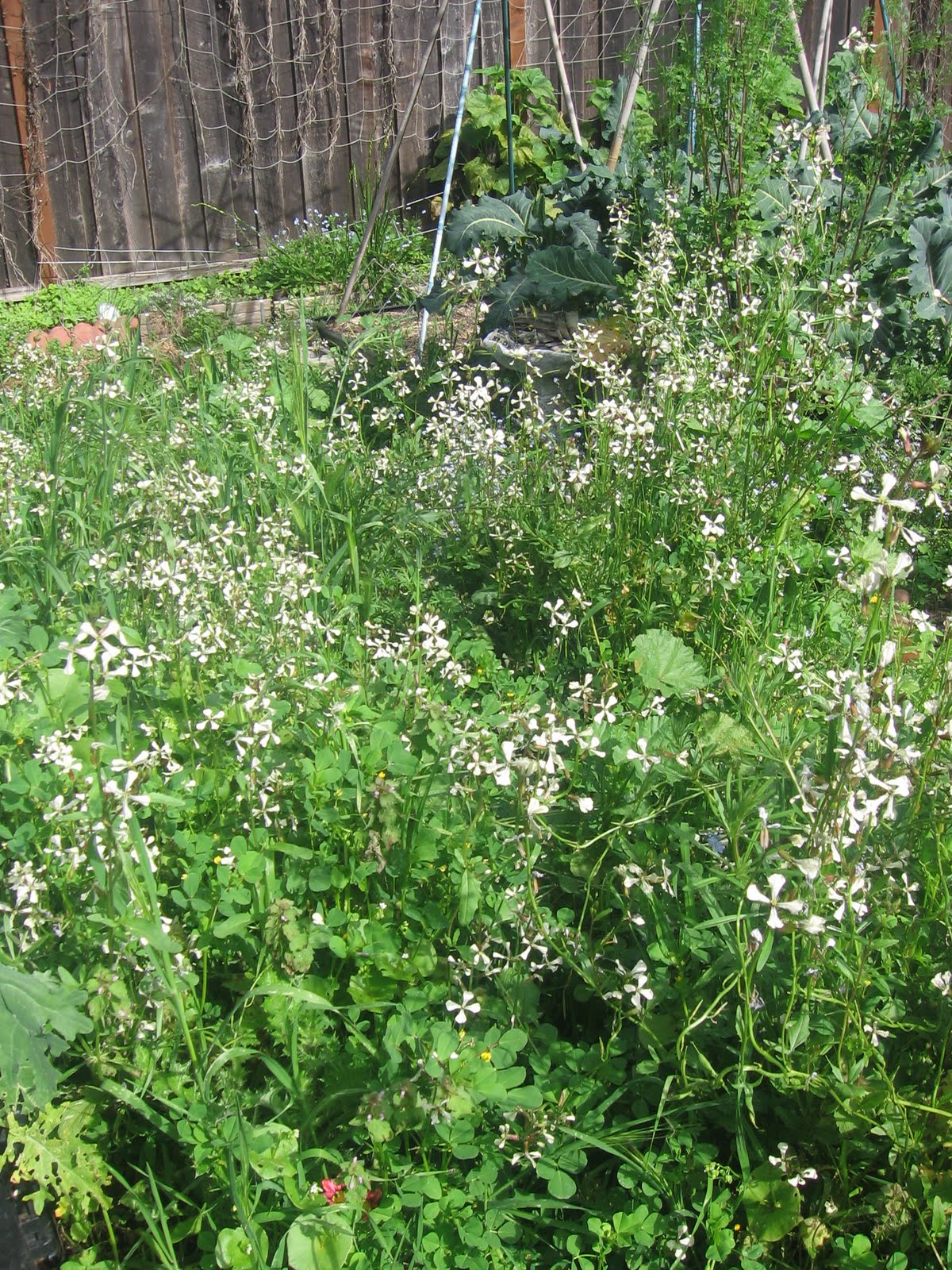 Weeds Gone Wild: The Shocking Truth About Their Damage - i37l7e3