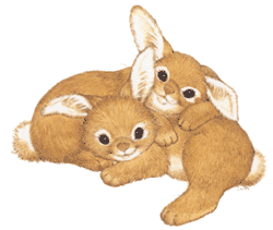 [2-bunnies.gif]