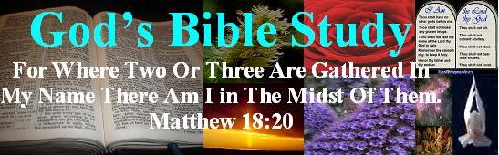 Gods Bible Study Blog