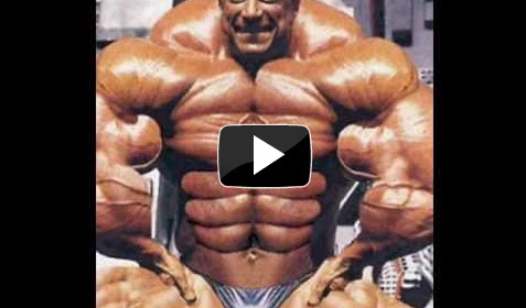 Steroid muscle extreme