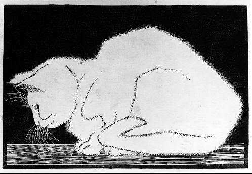 escher cat