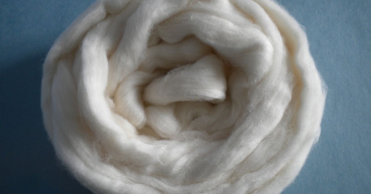 Wind Rose Fiber Studio Cotton Roving and Ginned Cotton