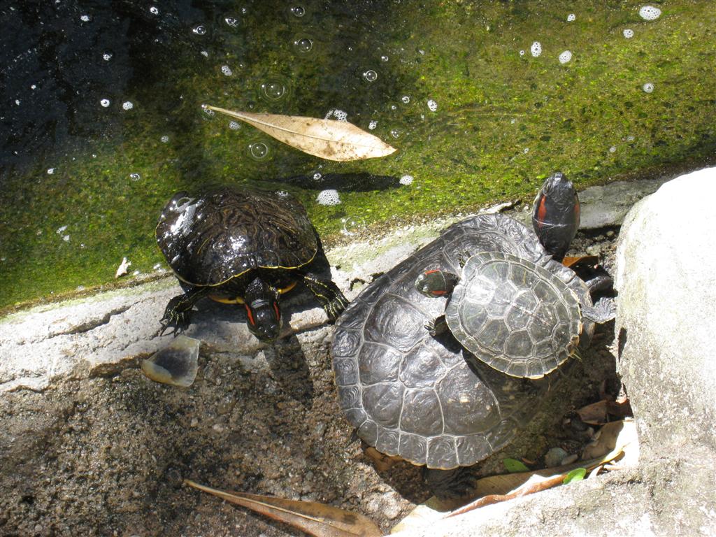 [IMG_4067+(Large).JPG]