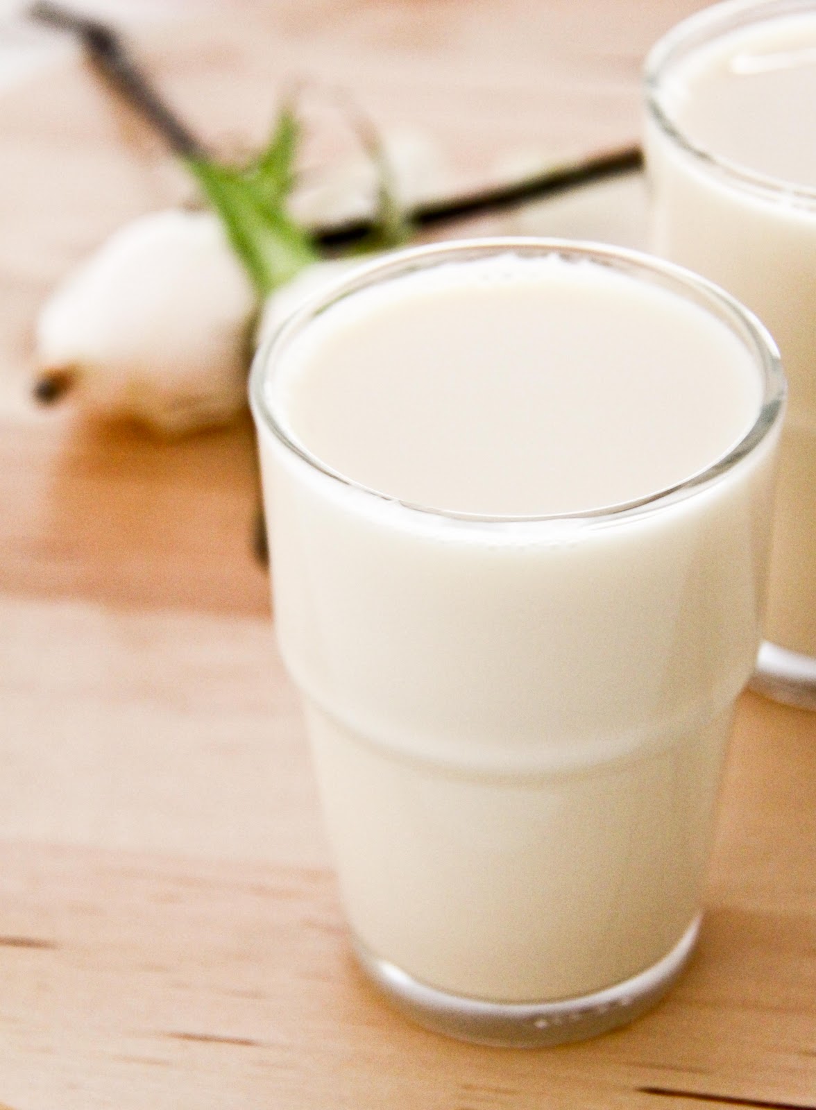 Life is Like a Long Journey Homemade Organic Soy Milk