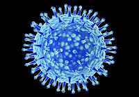 Un terrible virus Virus de la gripe A