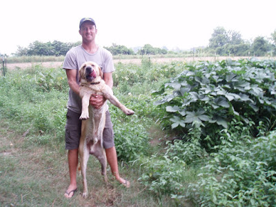 Brandon is a gay farmer growing organic flowers and veggies for market and ... Brandon is a gay farmer growing organic flowers and veggies for market and ...