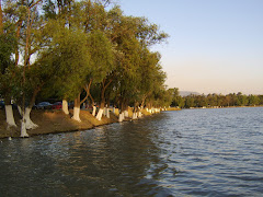 Lago de Los Lirios