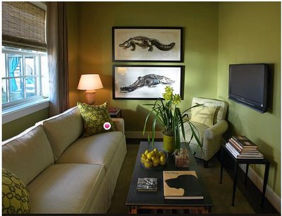 Room Designs on Living Room Designs Ideas  Contemporary Green Living Room Design Ideas