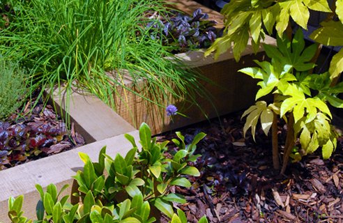 Modern Contemporary Family Garden Decoration - Simple House Design