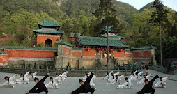 Cursos Kung-Fu Shaolin España, Infantil, Adultos, Azuqueca de Henares, Maestro Senna, Shifu PatyLee