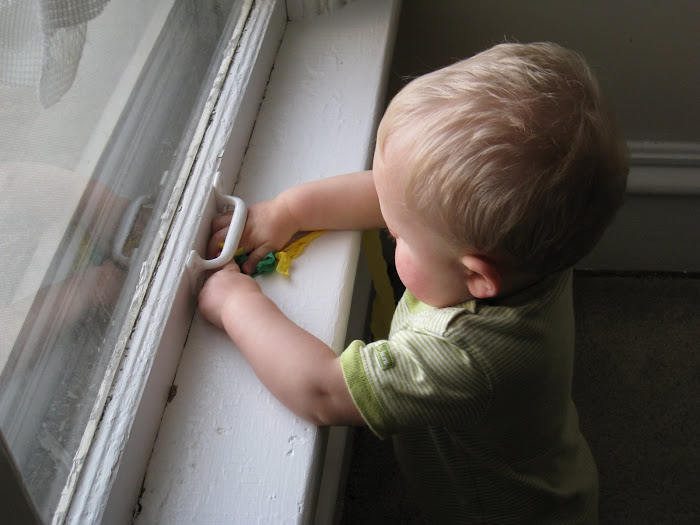 Looking out the window