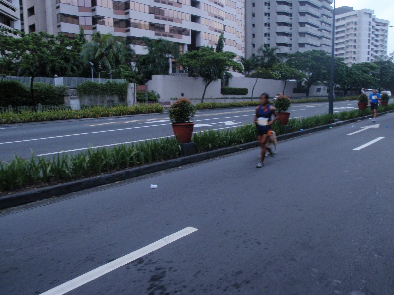 [P7190013.JPG]