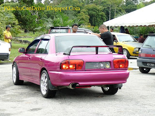 Fuchsia Wira