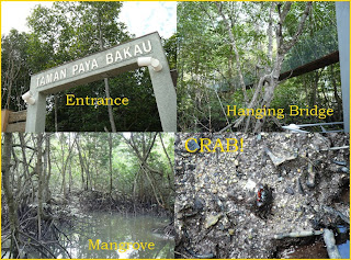 Mangrove Park