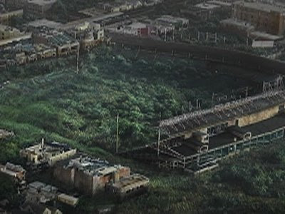 Plants animals Die Life Future Population Zero