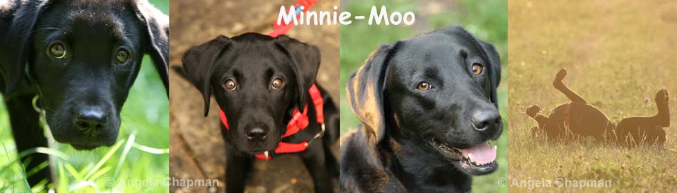 Minnie-Moo