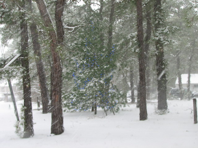 [IMG_6361.JPG]