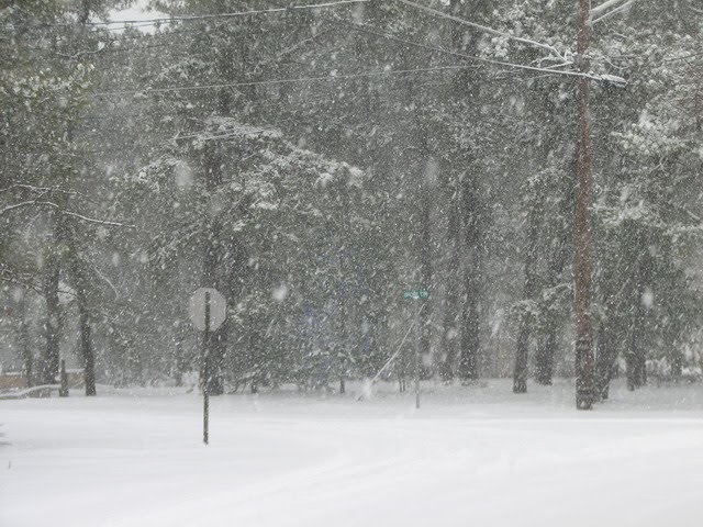 [IMG_6353.JPG]