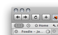 looking Firefox themes.