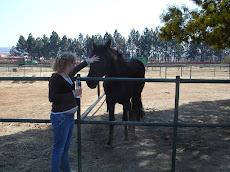 A walk to the stables