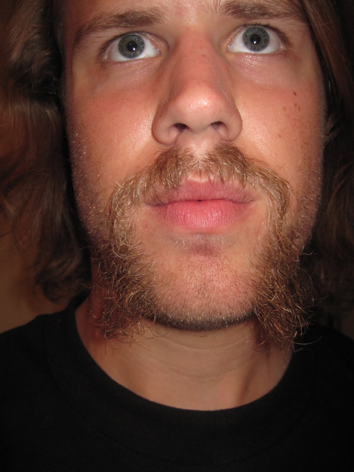 Fortitudine Vincimus Beards And Fu Manchus