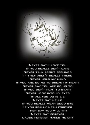 Never Say...