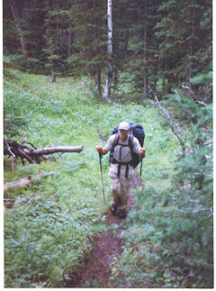 anaconda walking pole