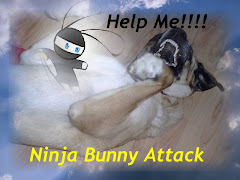 Ninja Bunny Attack!!!