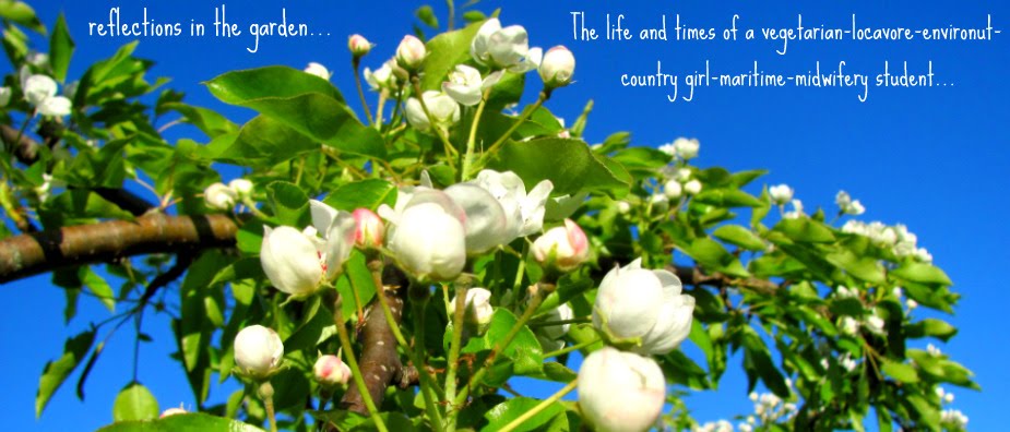 relfections in the garden...