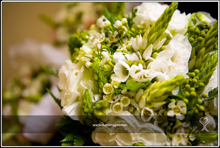 [DuetImagesBlogTS05.jpg]