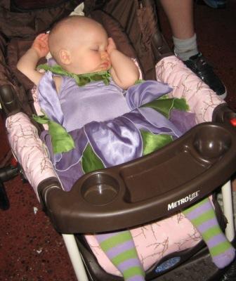 [IMG_0821small.JPG]