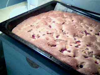 Långpannesockerkaka-12.8kB