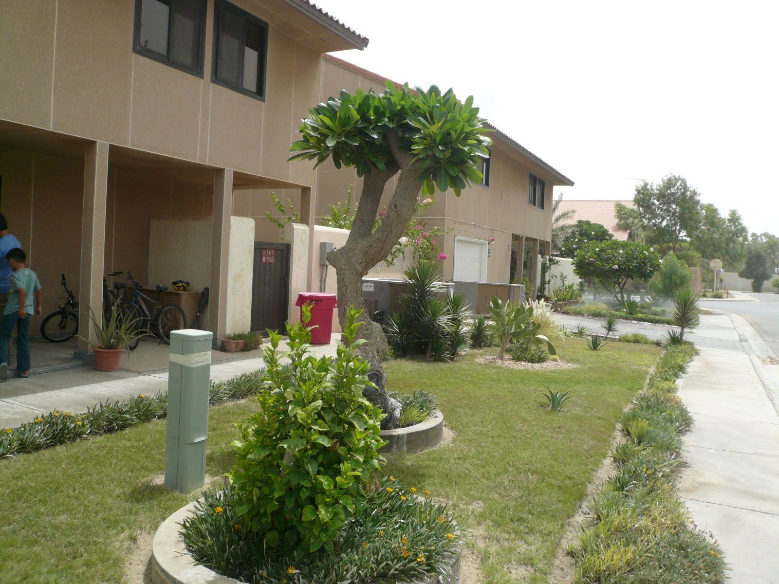 Aramco Houses
