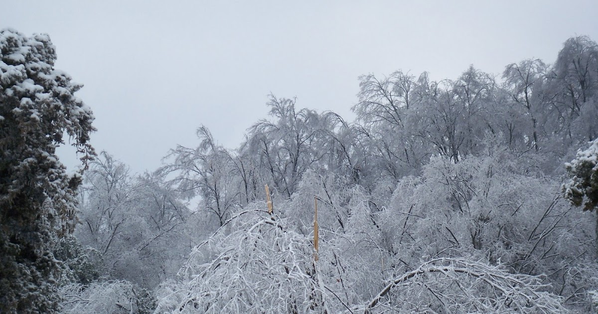 reverendjaneausten kentucky Ice Storm 0f 2009