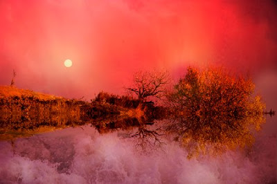 dreamland by roberto lorenzoni