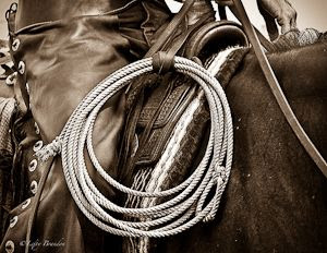 Cowboy Rope Image