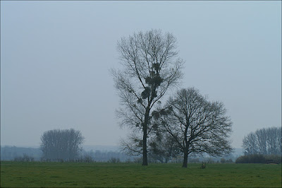 Près de Amagne